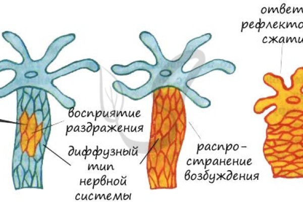 Кракен открылся